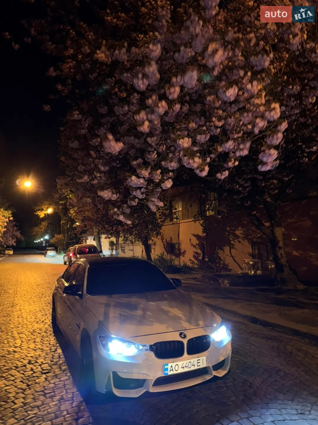 2013 BMW 3er - мініатюра 2