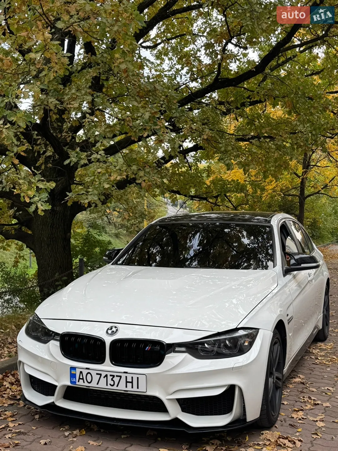 2013 BMW 3er - мініатюра 6