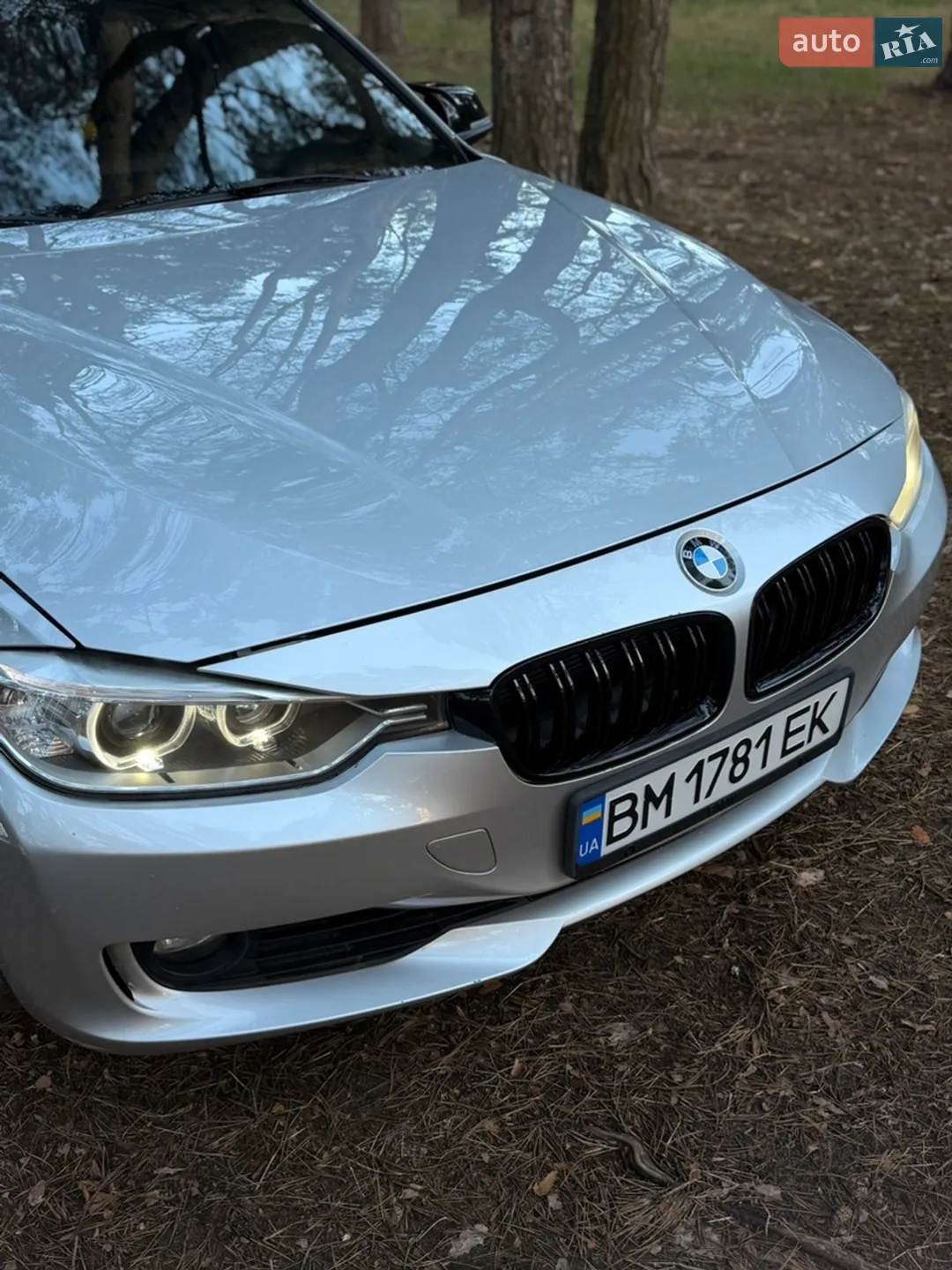 2013 BMW 3er - мініатюра 3