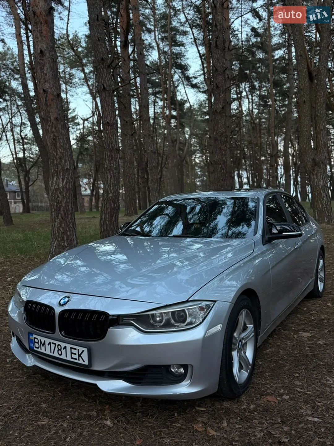 2013 BMW 3er - мініатюра 24