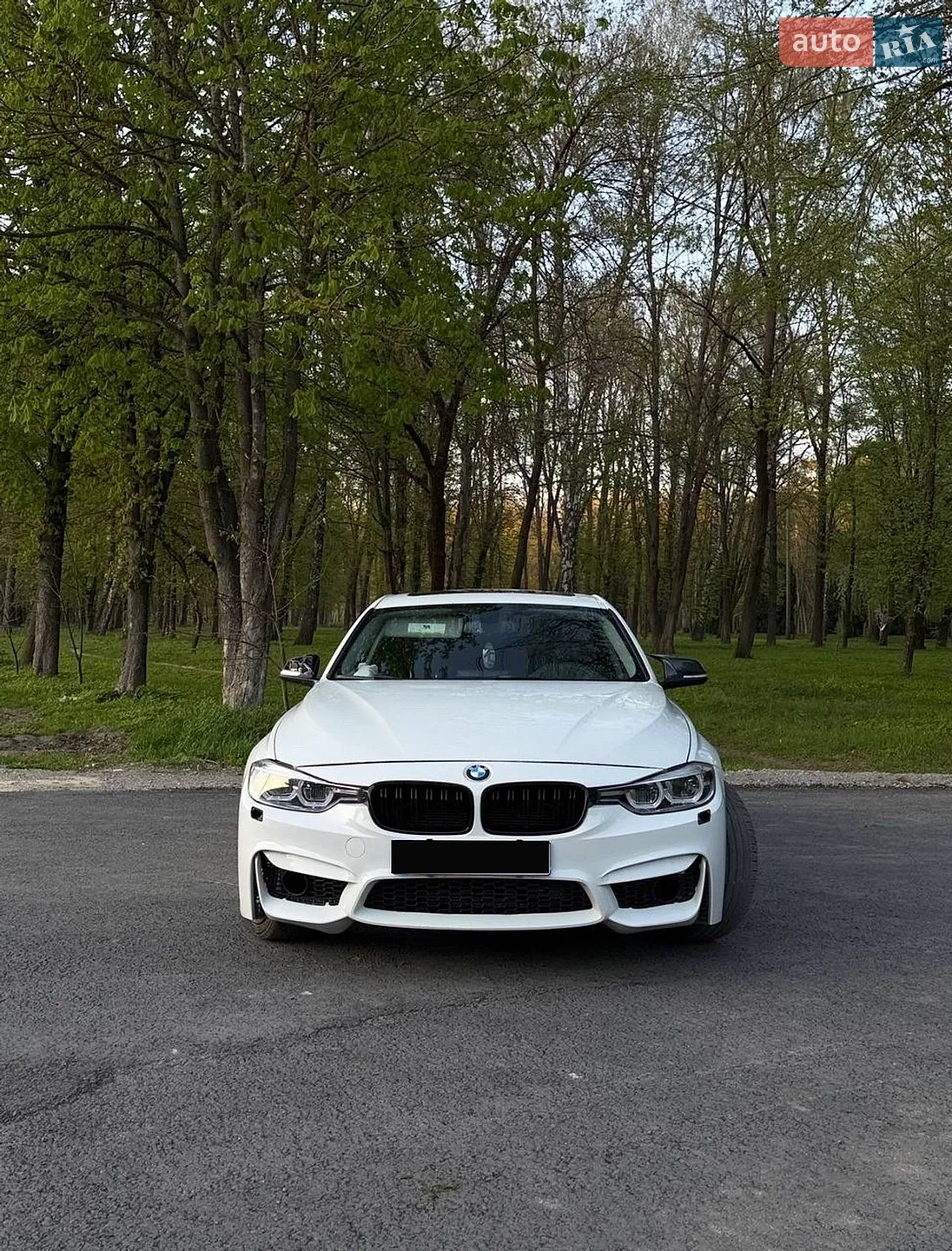 2013 BMW 3er - фото 1