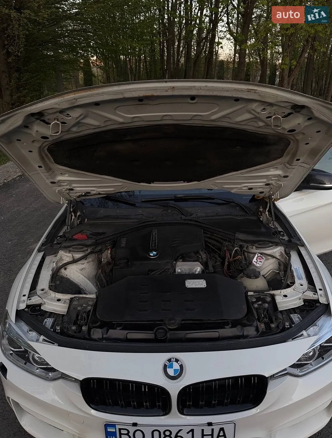 2013 BMW 3er - мініатюра 8
