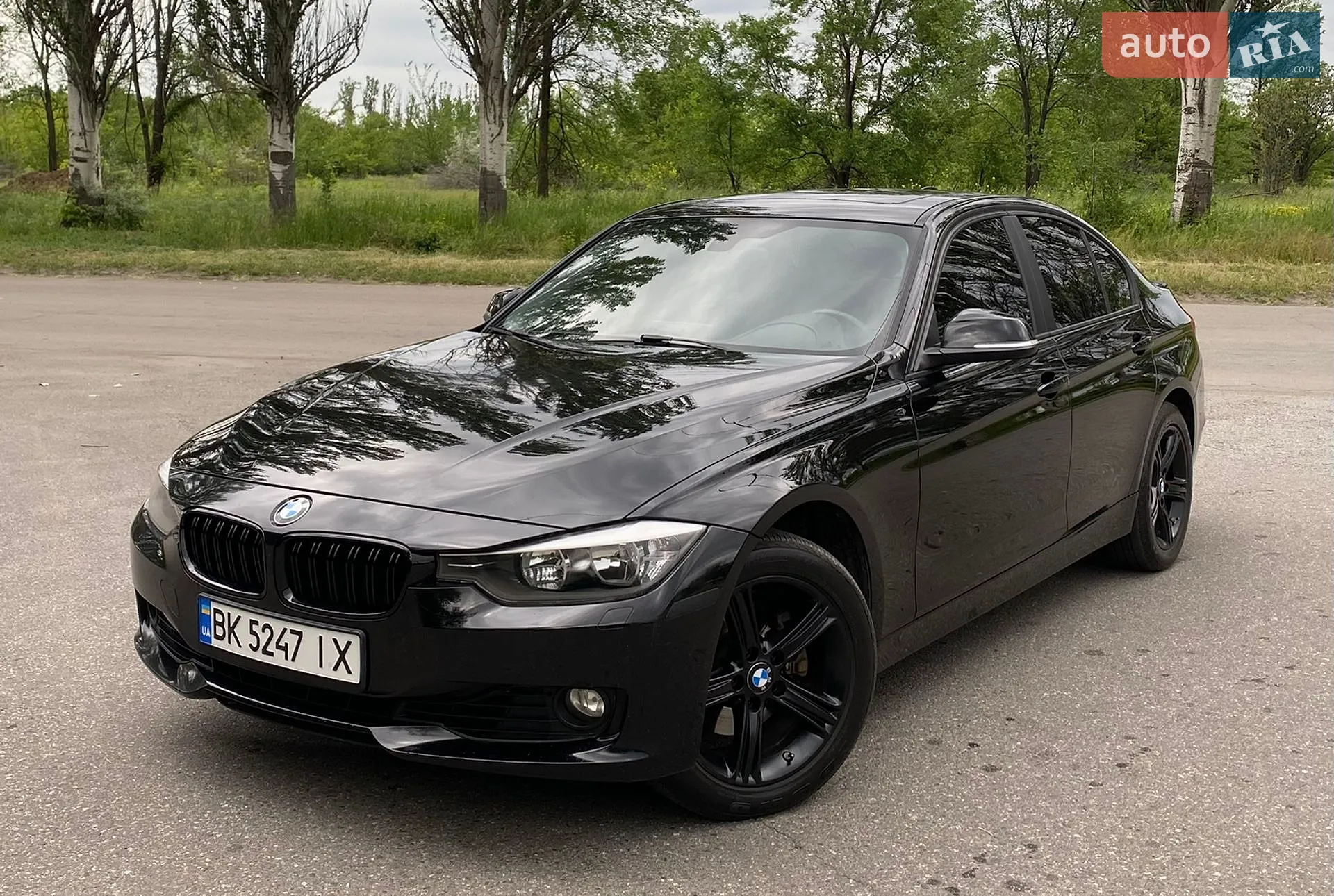 2013 BMW 3er - фото 1