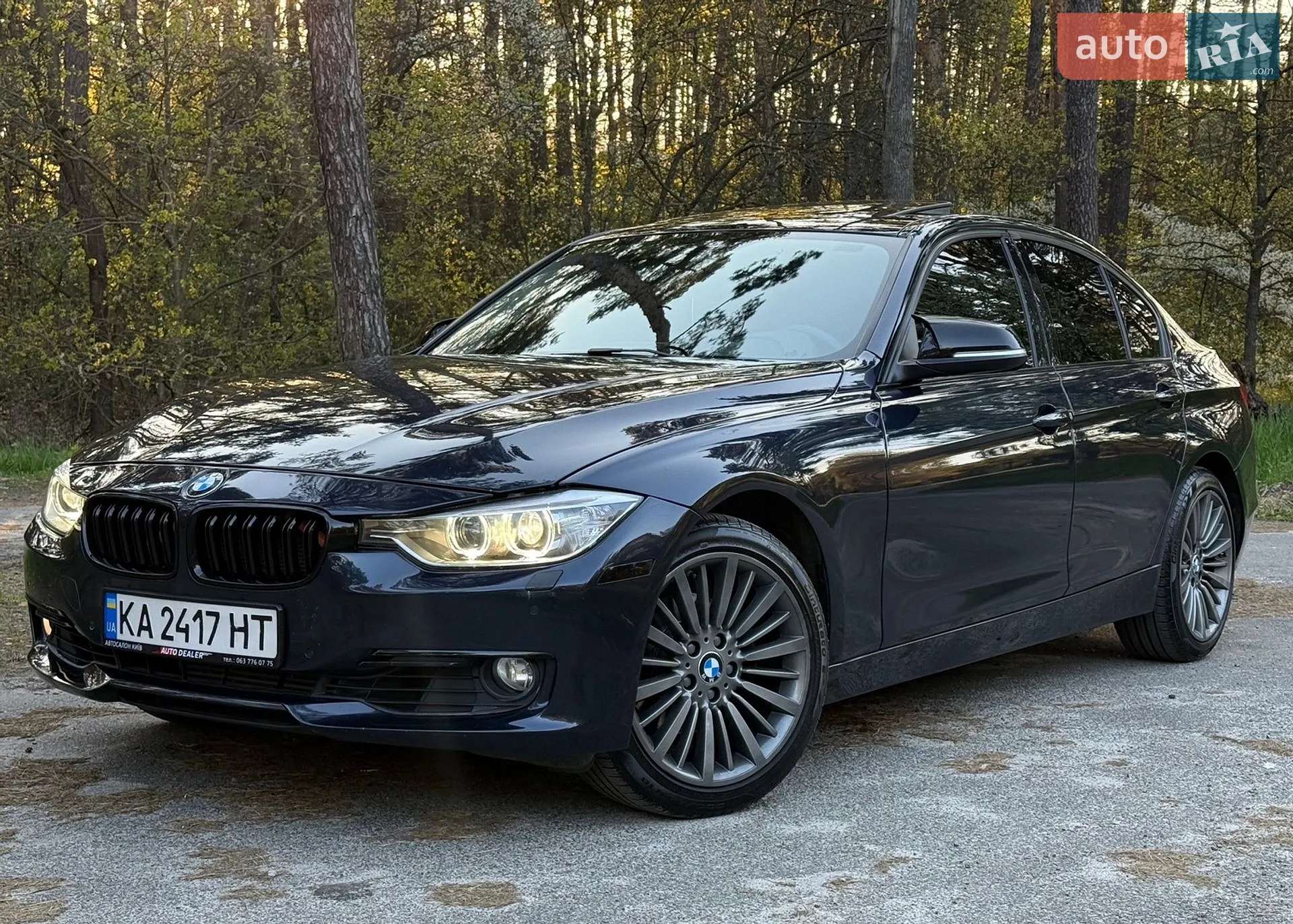 2014 BMW 3er - мініатюра 8