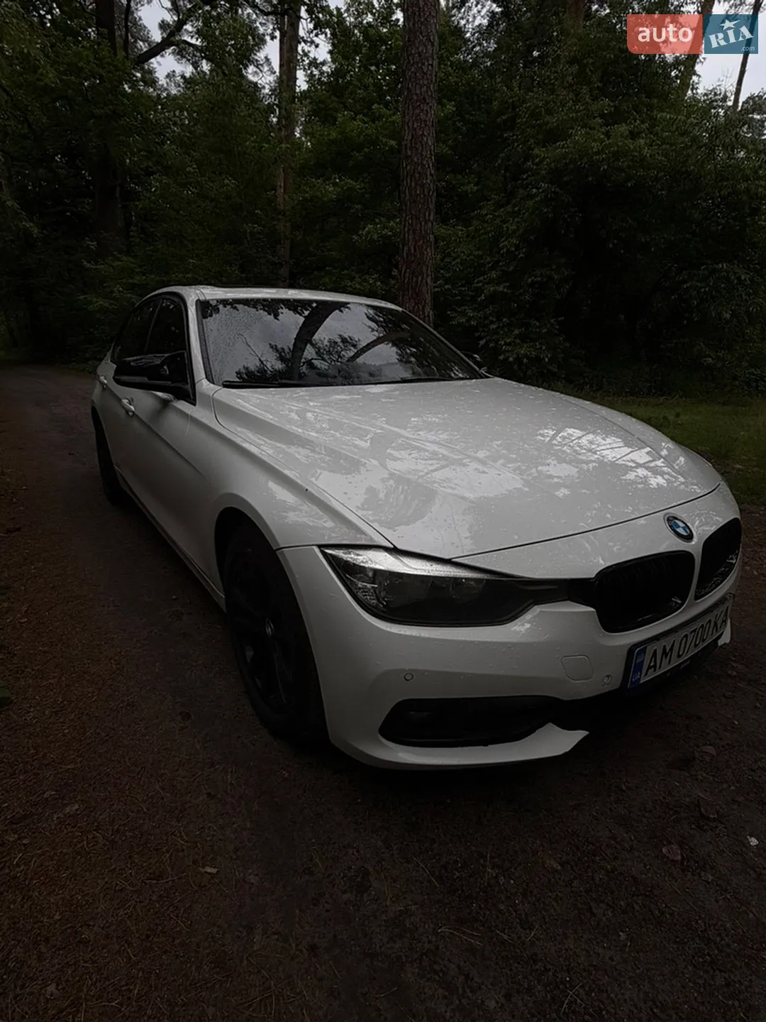 2016 BMW 3er - мініатюра 2