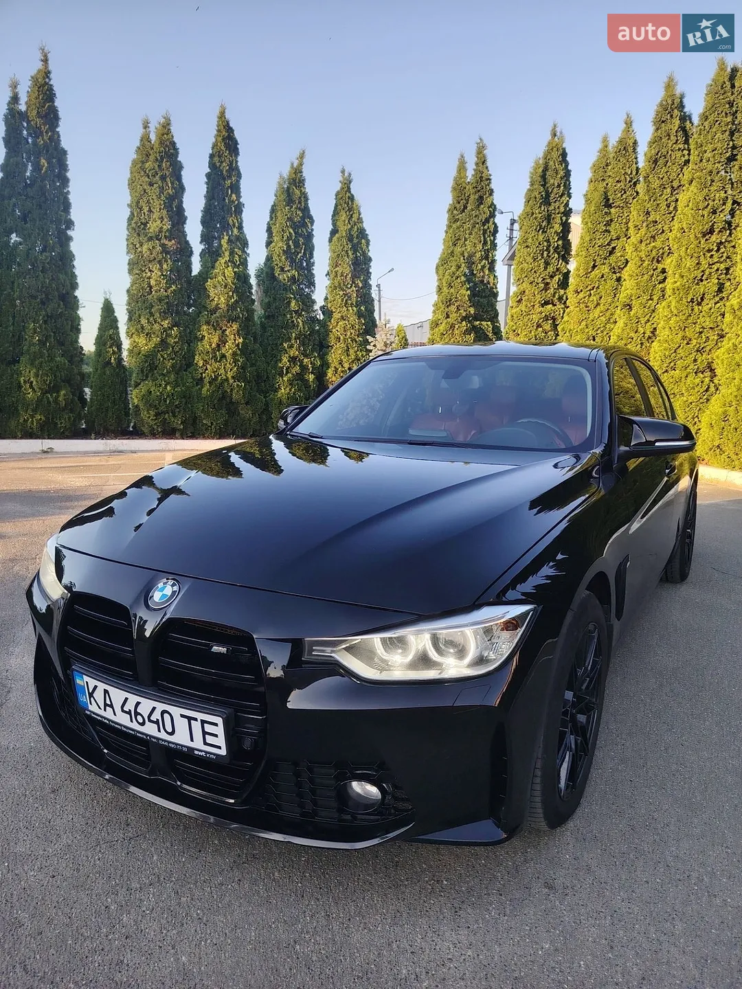 2013 BMW 3er - мініатюра 6