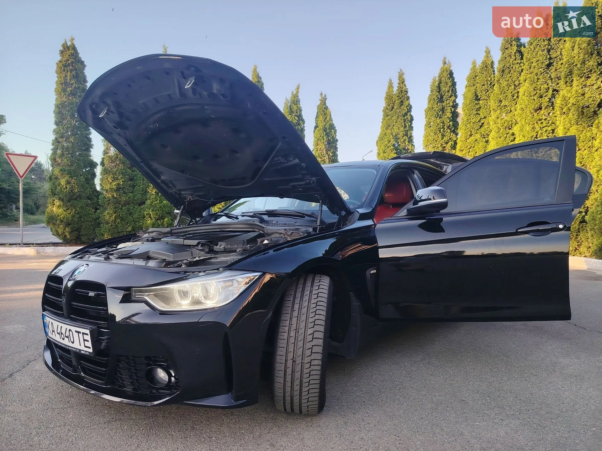 2013 BMW 3er - мініатюра 24