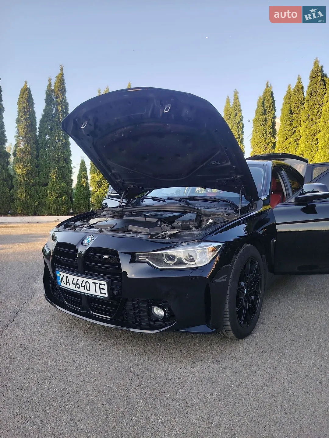 2013 BMW 3er - мініатюра 27