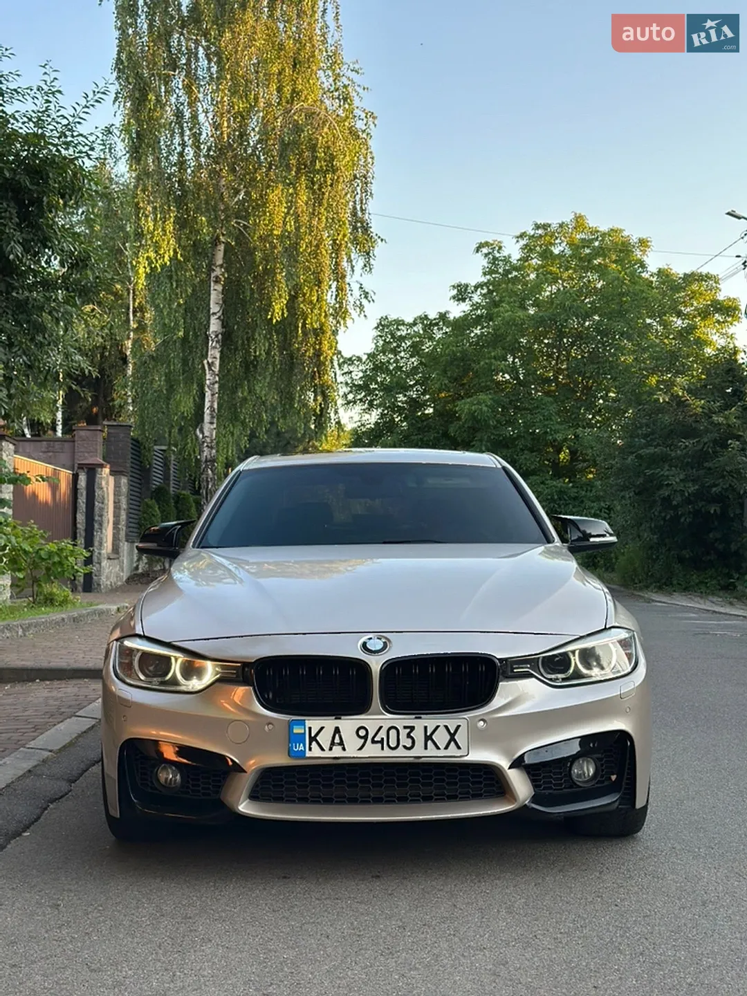 2014 BMW 3er - мініатюра 3