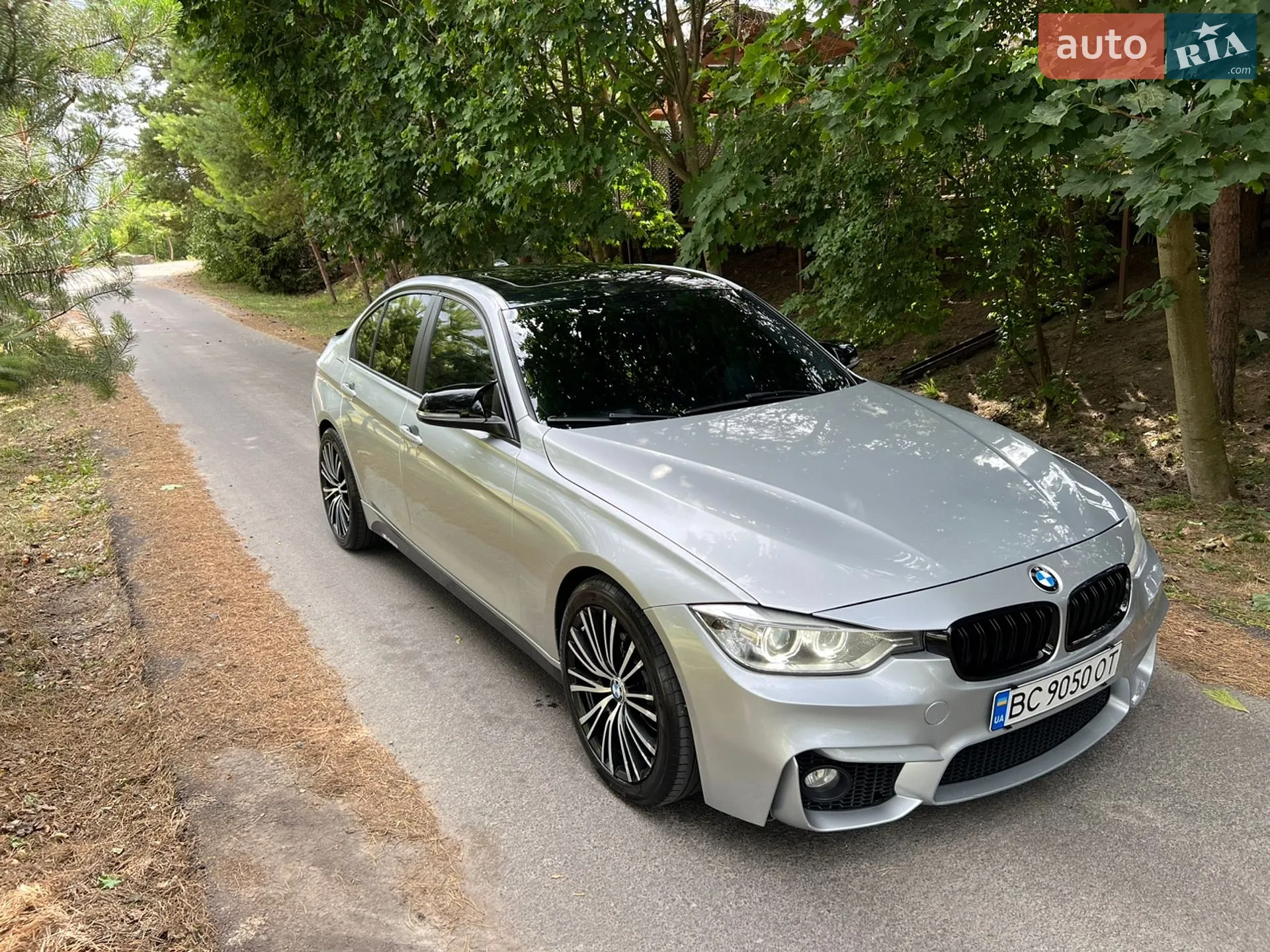2013 BMW 3er - фото 1