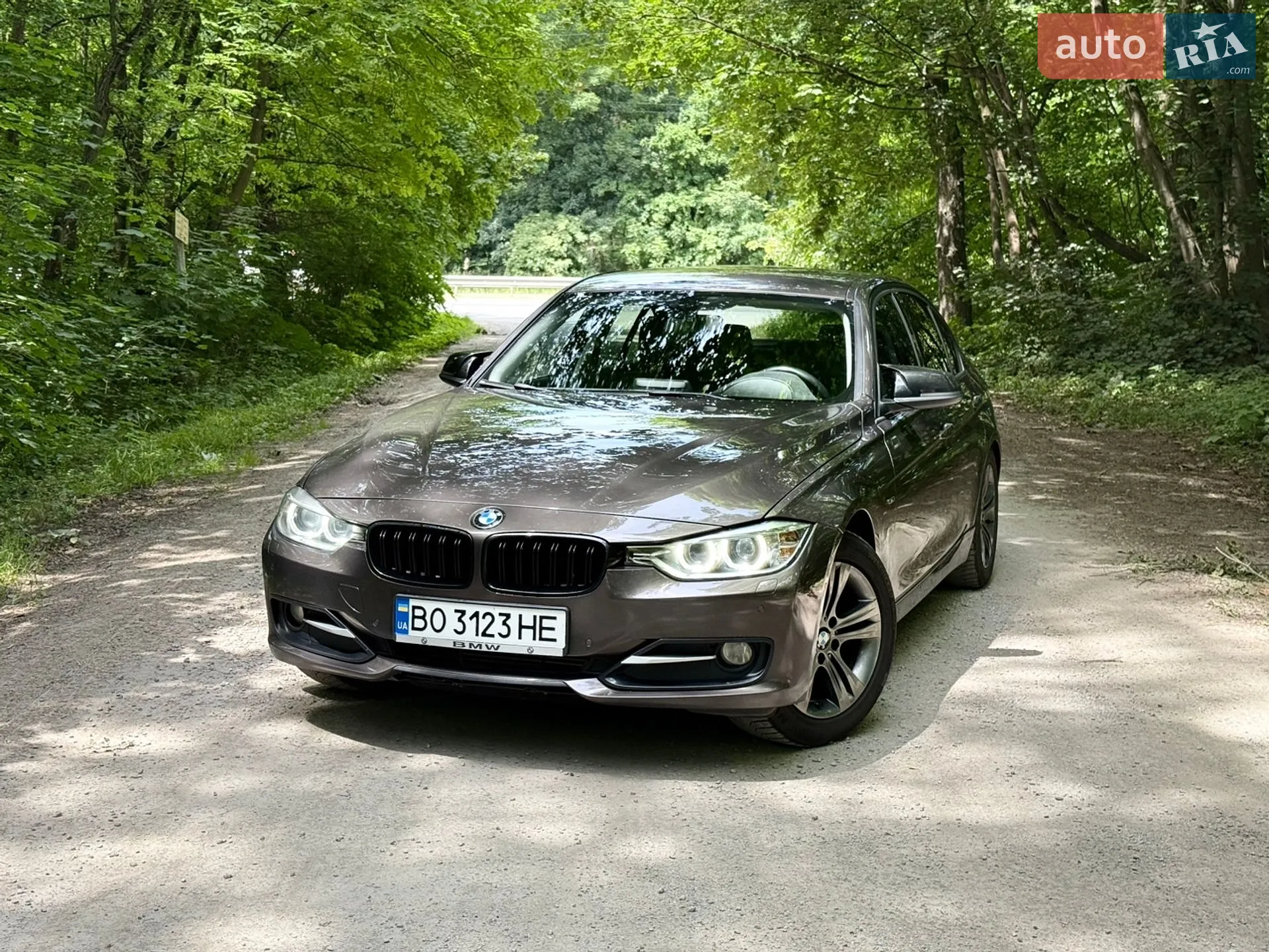 2012 BMW 3er - мініатюра 4