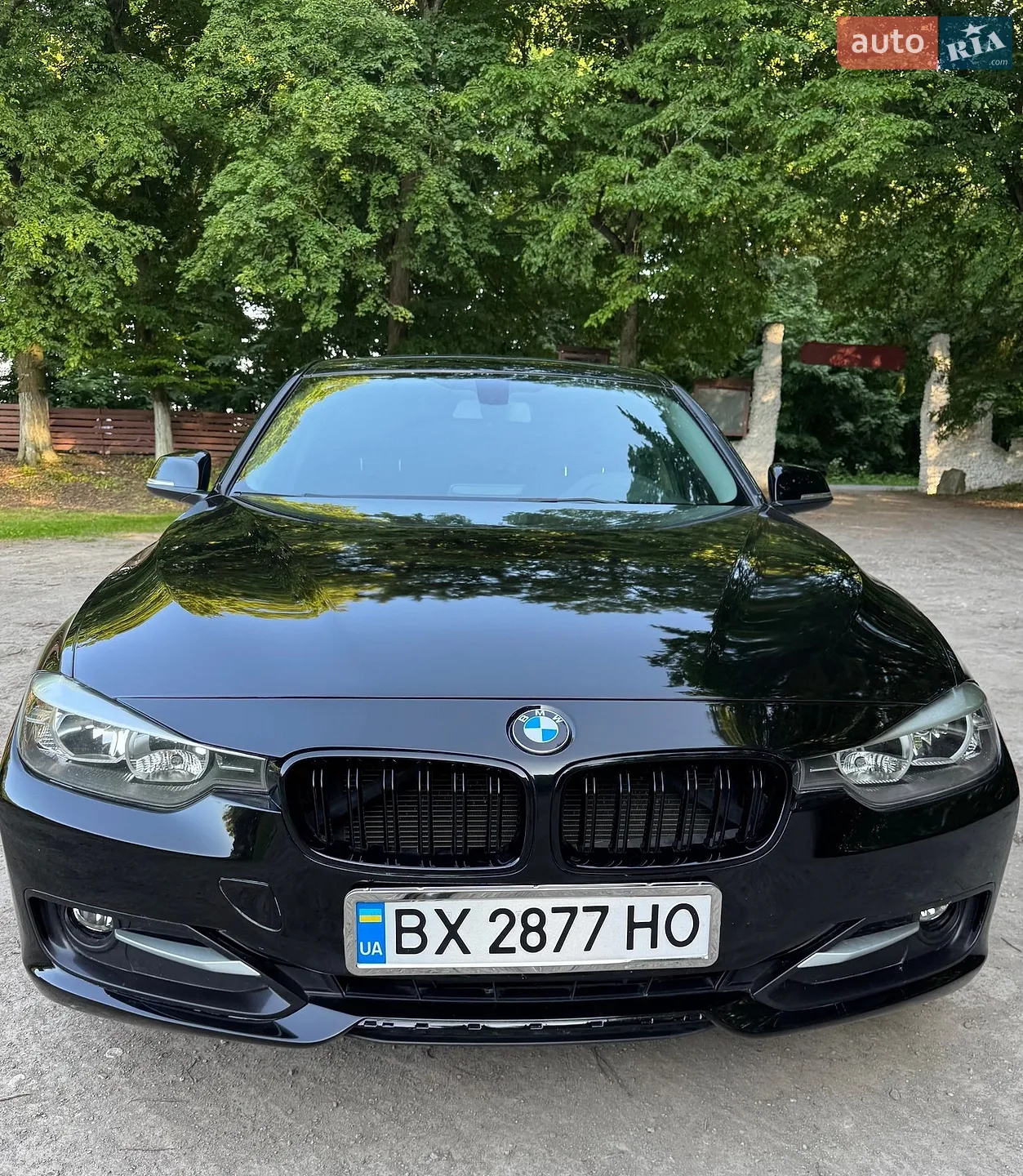 2015 BMW 3er - мініатюра 6
