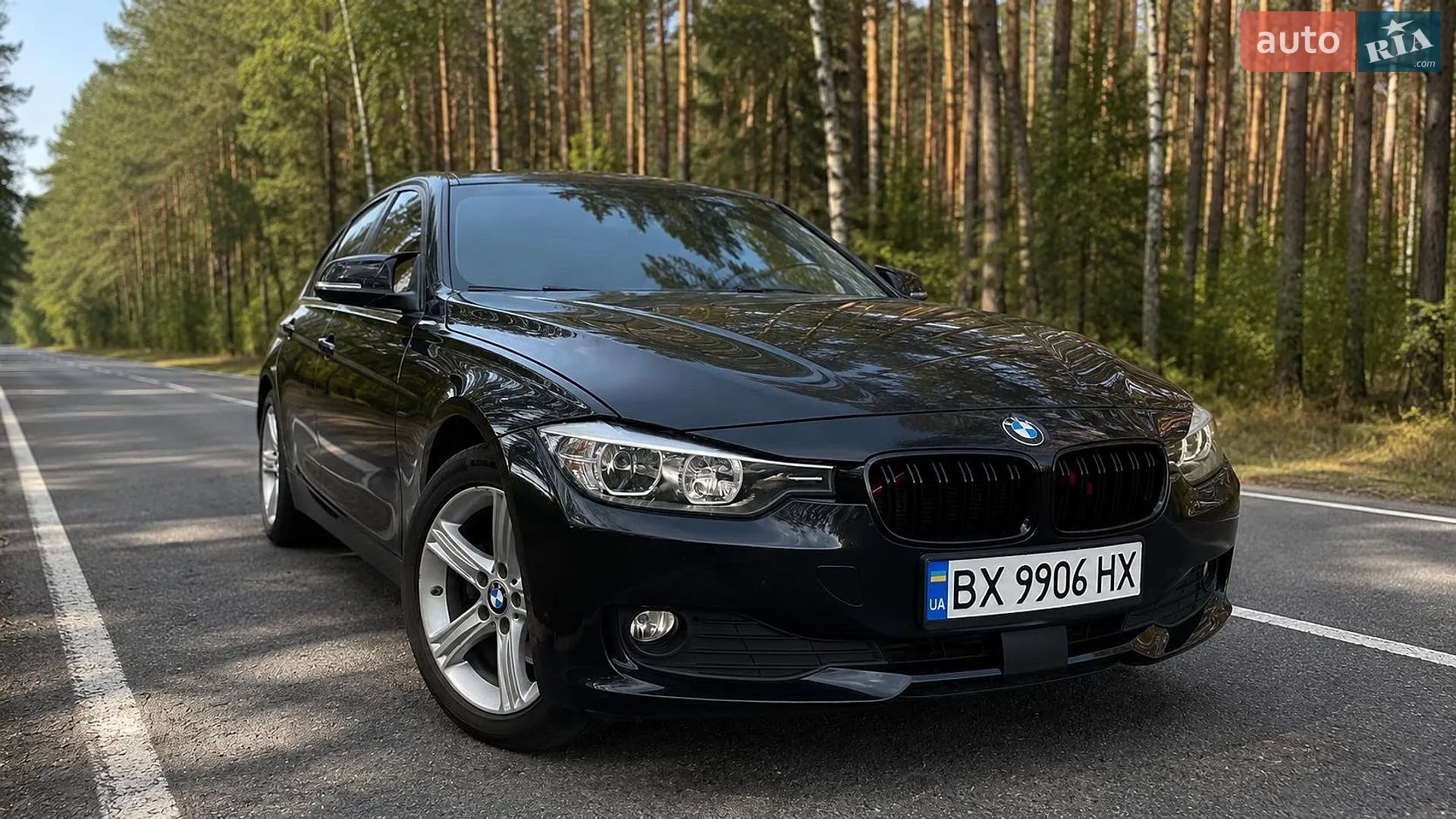2013 BMW 3er - мініатюра 30