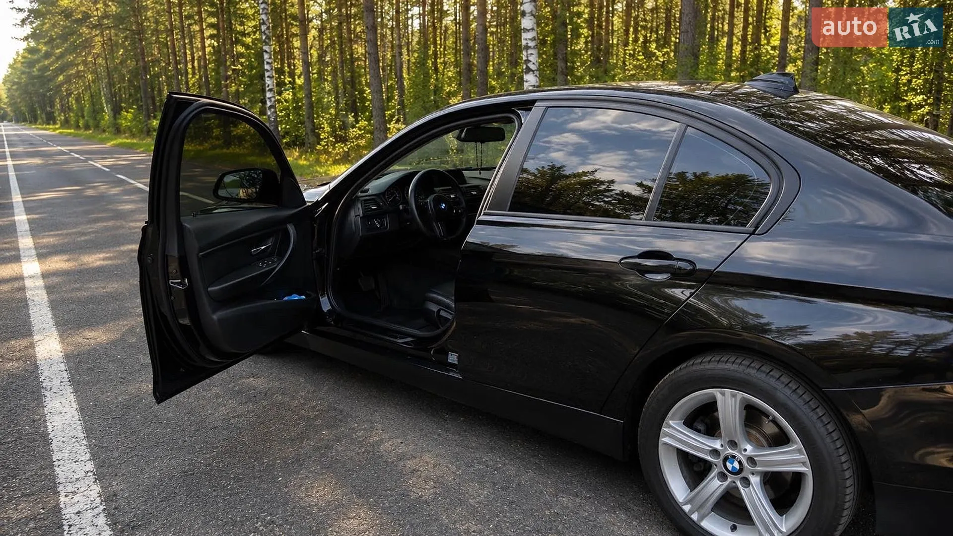 2013 BMW 3er - мініатюра 6