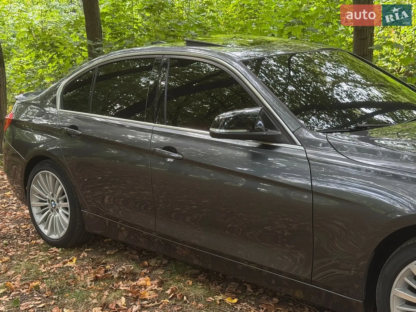 2013 BMW 3er - мініатюра 14