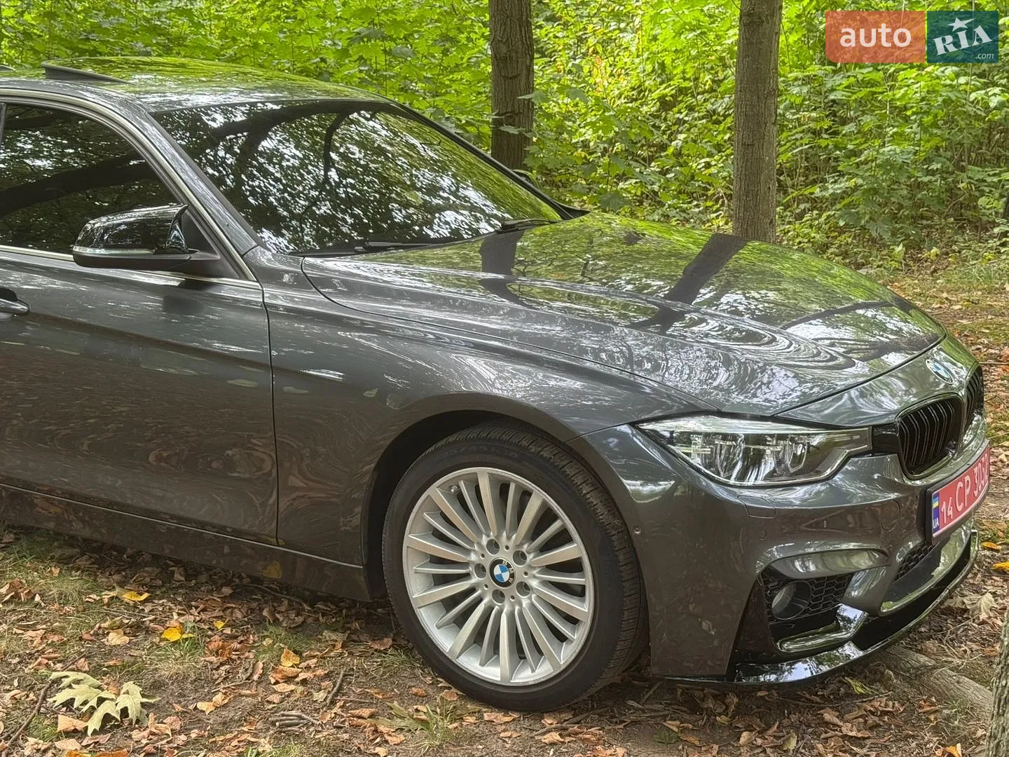 2013 BMW 3er - мініатюра 13