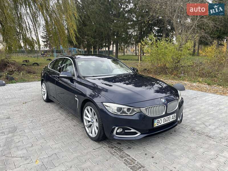 BMW 4 Series Gran Coupe 2014 BMW 4 Series Gran Coupe 2014