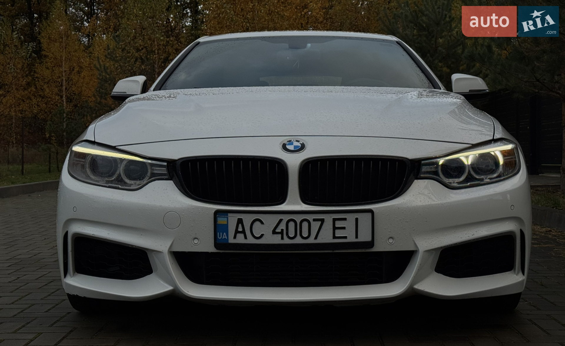 2015 BMW 4er - мініатюра 10