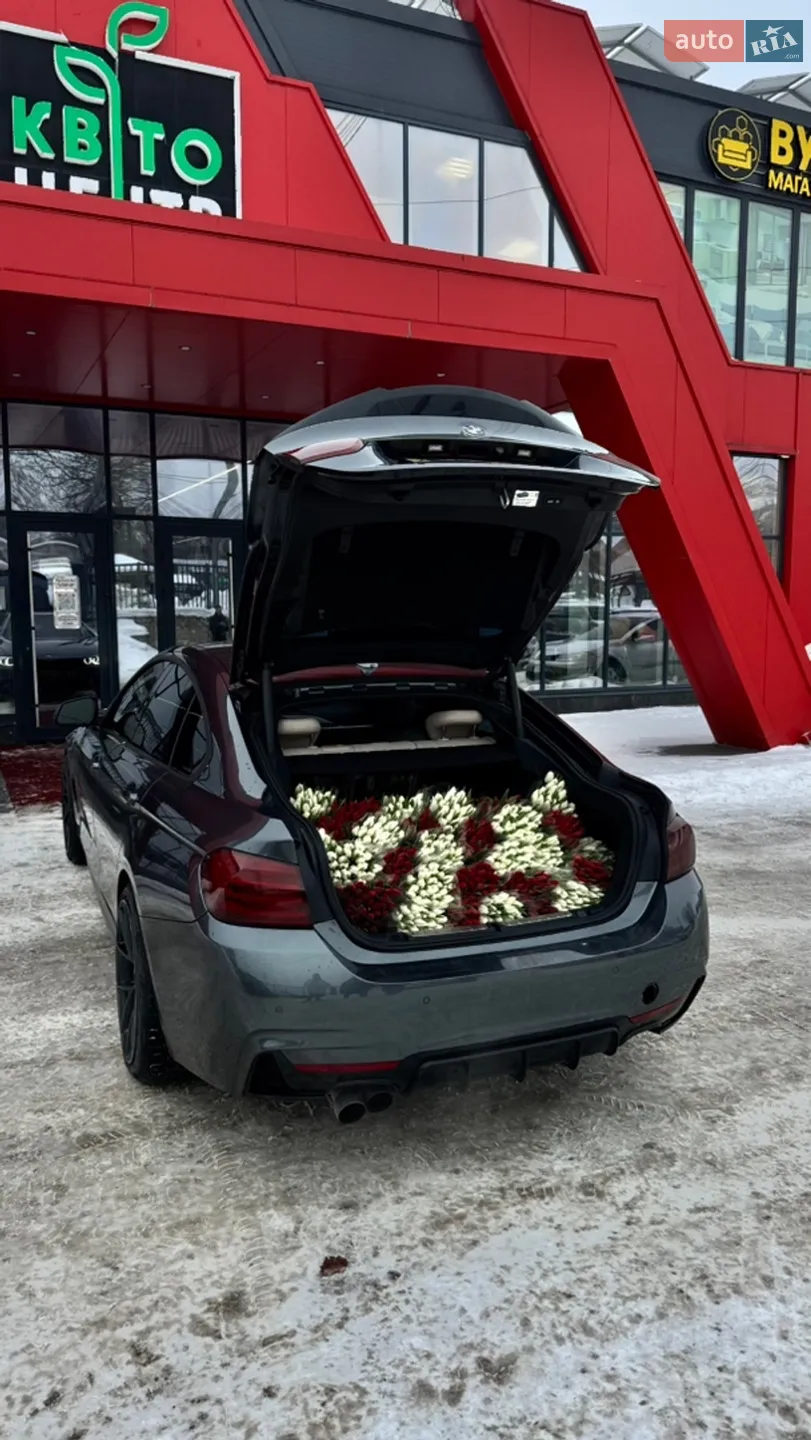 2016 BMW 4er - мініатюра 62