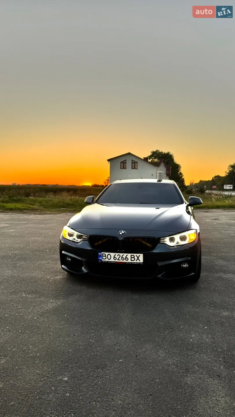 2016 BMW 4er - мініатюра 63