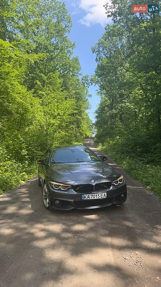 2016 BMW 4er - мініатюра 13