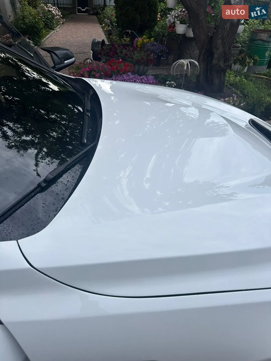 2014 BMW 4er - мініатюра 81
