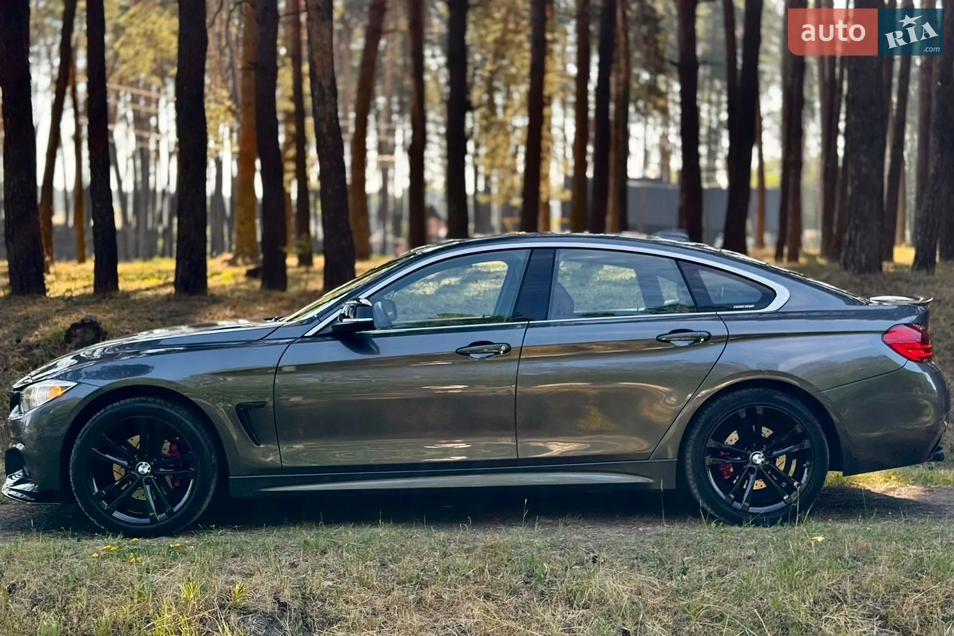 2016 BMW 4er - мініатюра 7