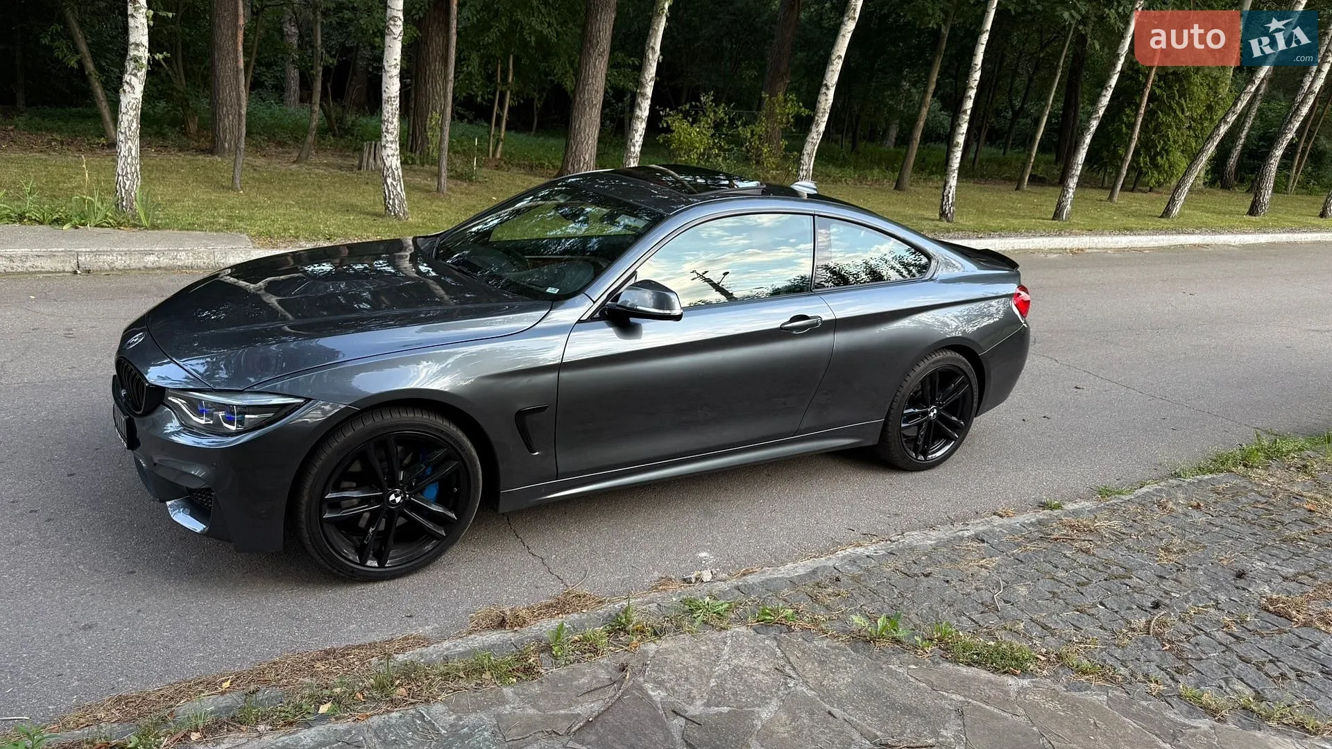 2017 BMW 4er - мініатюра 2