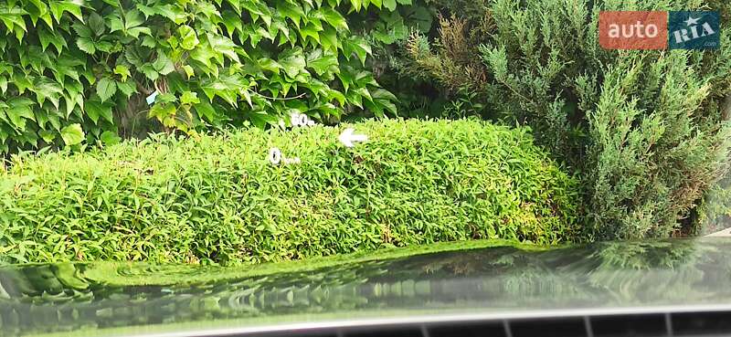 Седан BMW 5 Series 2013 в Стрые фото 65 Седан BMW 5 Series 2013 в Стрые