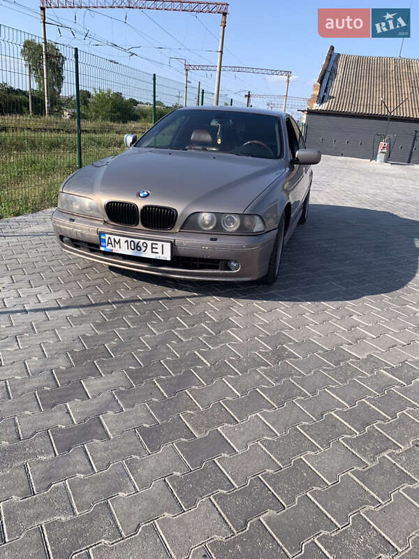 Седан BMW 5 Series 2003 в Звягелі