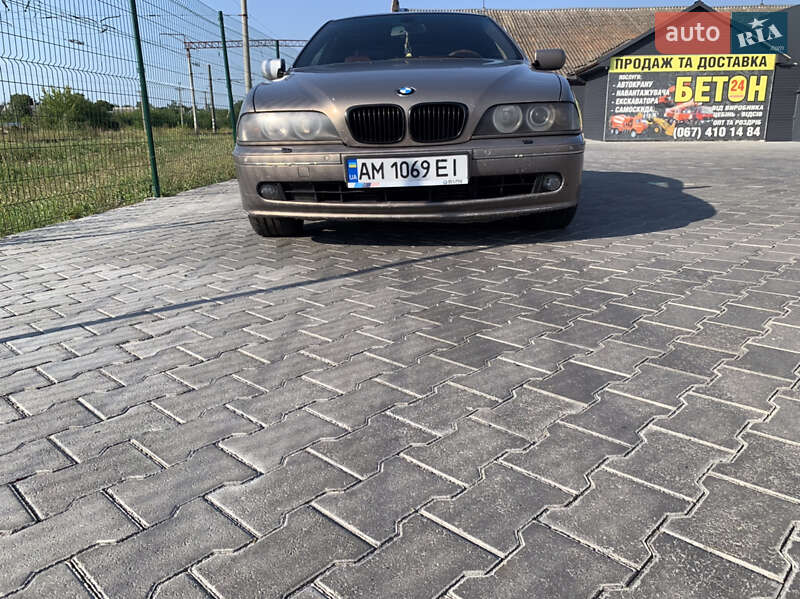 Седан BMW 5 Series 2003 в Звягелі
