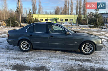 Седан BMW 5 Series 2002 в Звягеле