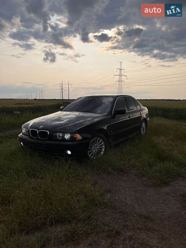 BMW 5 Series 2001 BMW 5 Series 2001