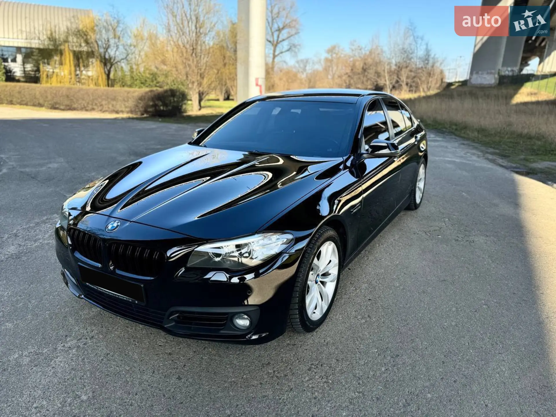 2013 BMW 5er - мініатюра 8