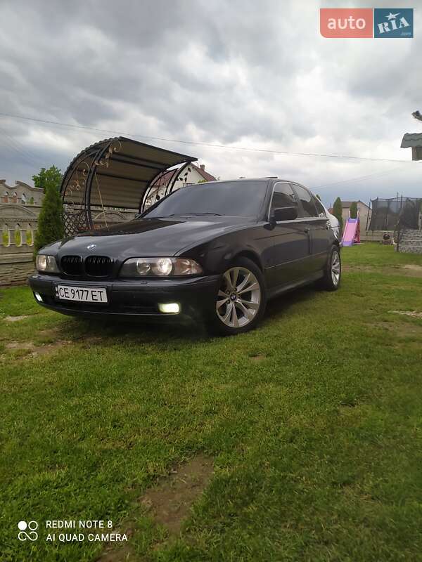 Седан BMW 5 Series 1996 в Сторожинці фото 3 Седан BMW 5 Series 1996 в Сторожинці