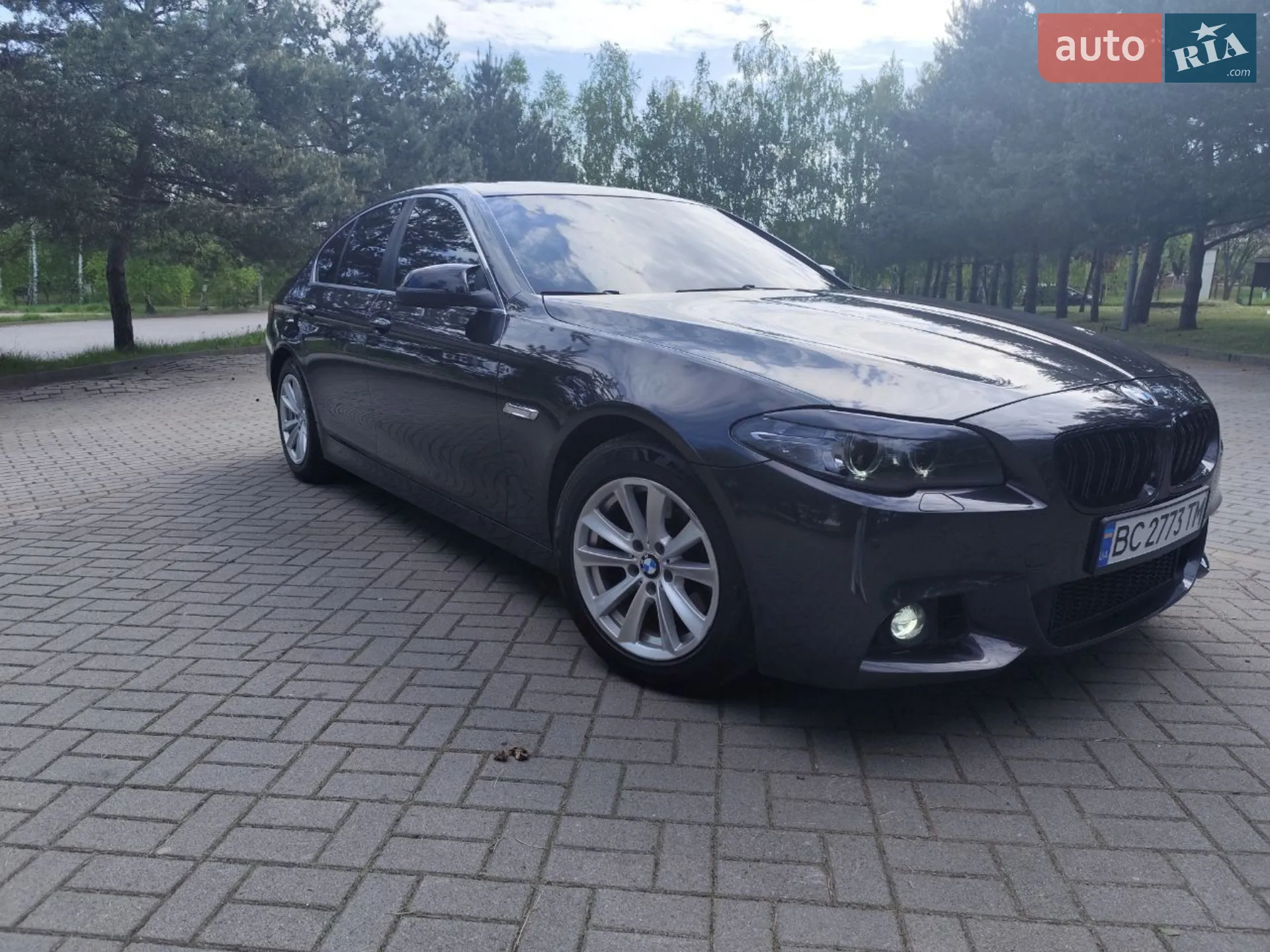 2014 BMW 5er - мініатюра 5