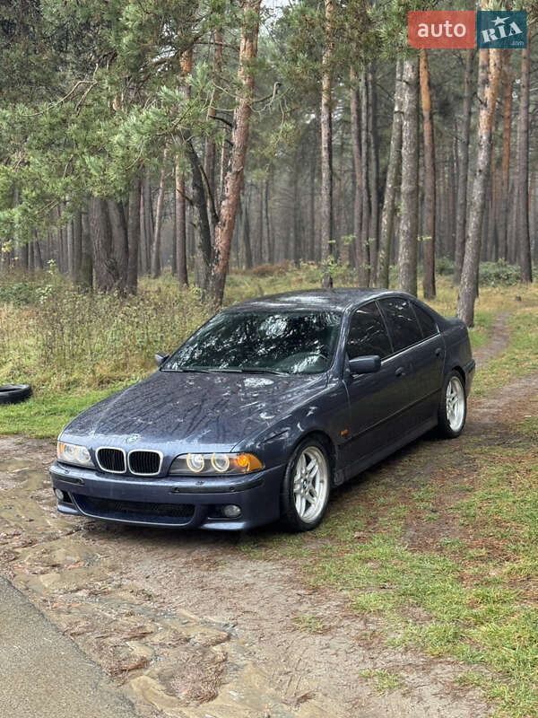 BMW 5 Series 2001 BMW 5 Series 2001