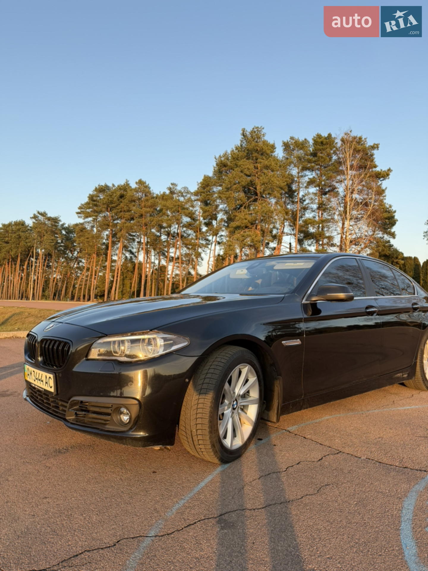 2014 BMW 5er - мініатюра 5