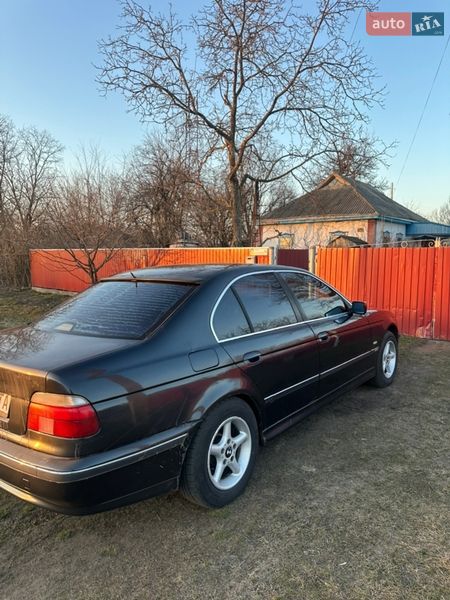 Седан BMW 5 Series 1996 в Киеве фото 5 Седан BMW 5 Series 1996 в Киеве
