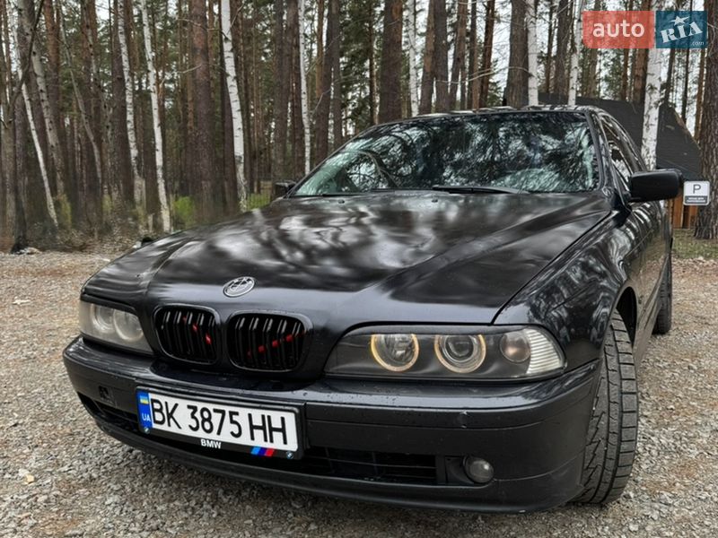 BMW 5 Series 2002 BMW 5 Series 2002