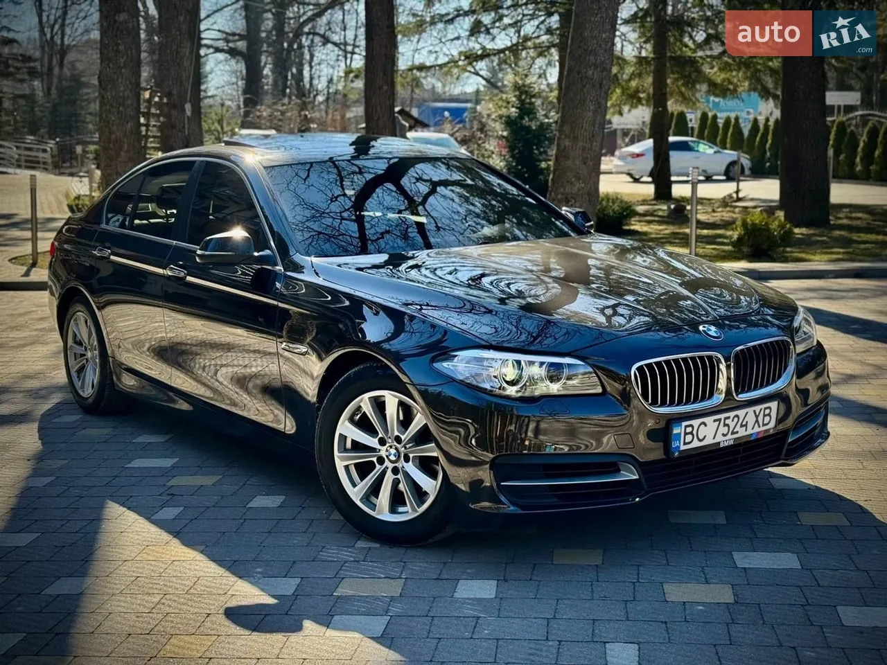 2014 BMW 5er - мініатюра 25