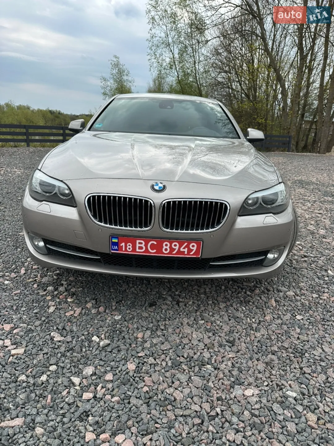 2010 BMW 5er - мініатюра 2