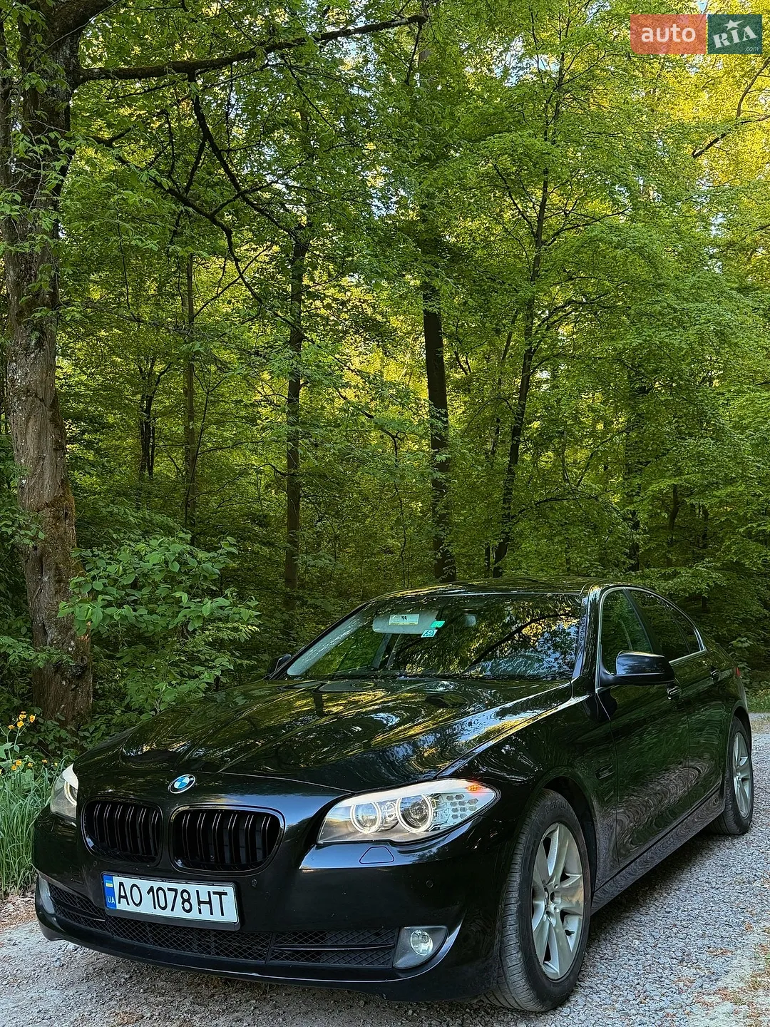 2011 BMW 5er - мініатюра 2