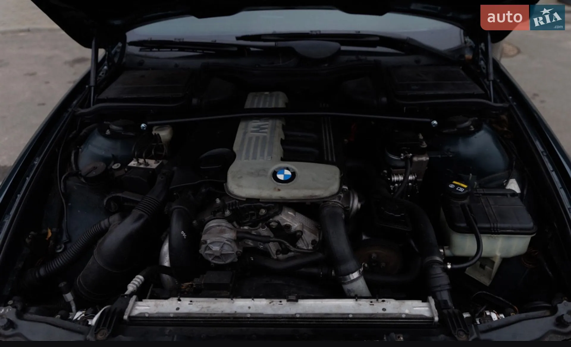 BMW 5 Series 1999 VIN WBADL810X0GJ66522 фото оголошення 6 з 11