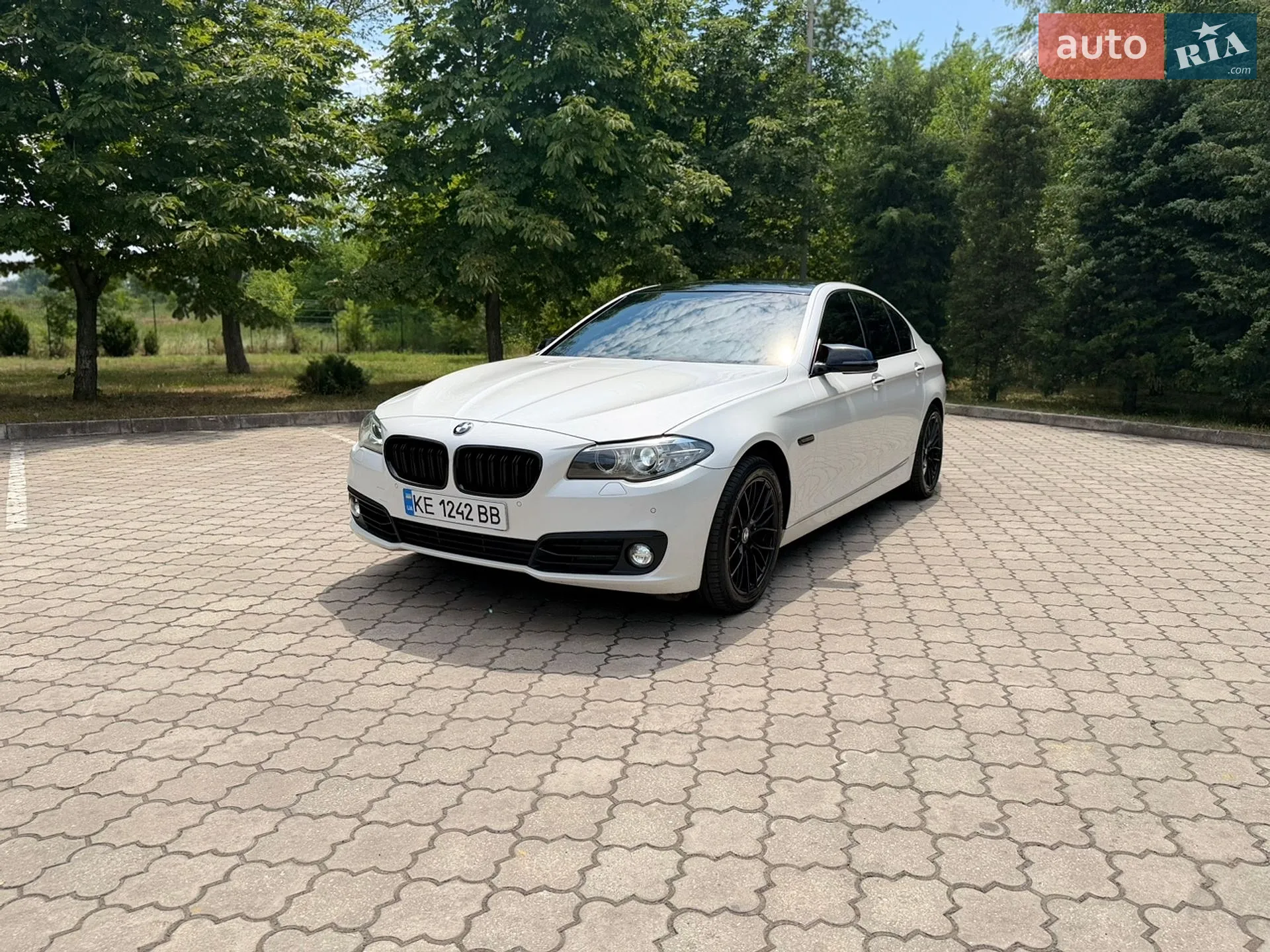 2013 BMW 5er - мініатюра 5