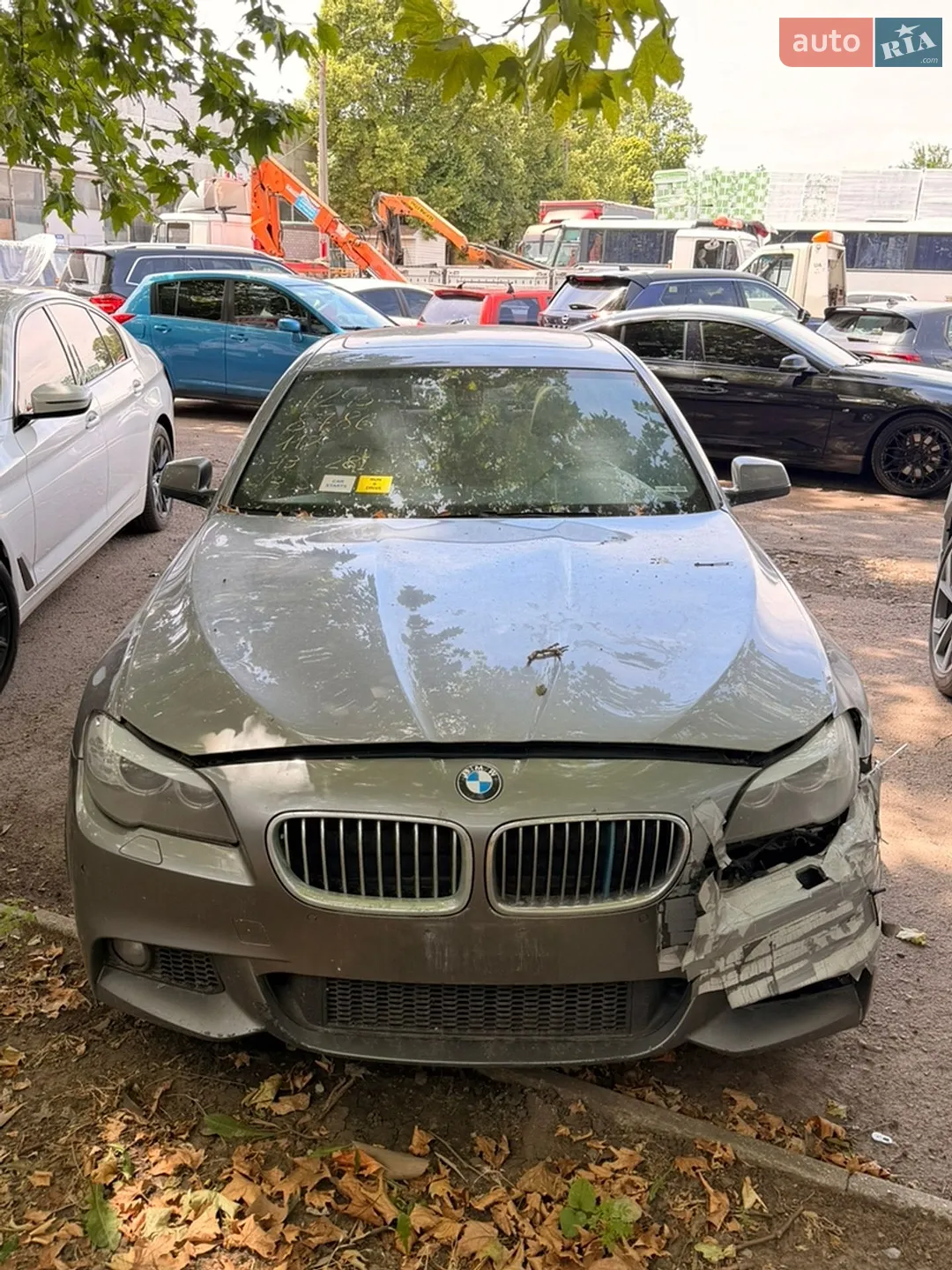 2013 BMW 5er - мініатюра 3