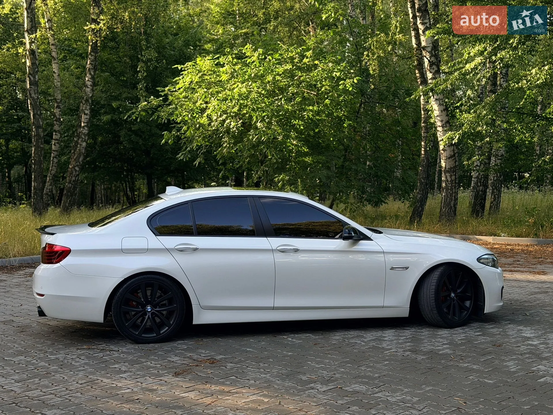 2015 BMW 5er - мініатюра 14