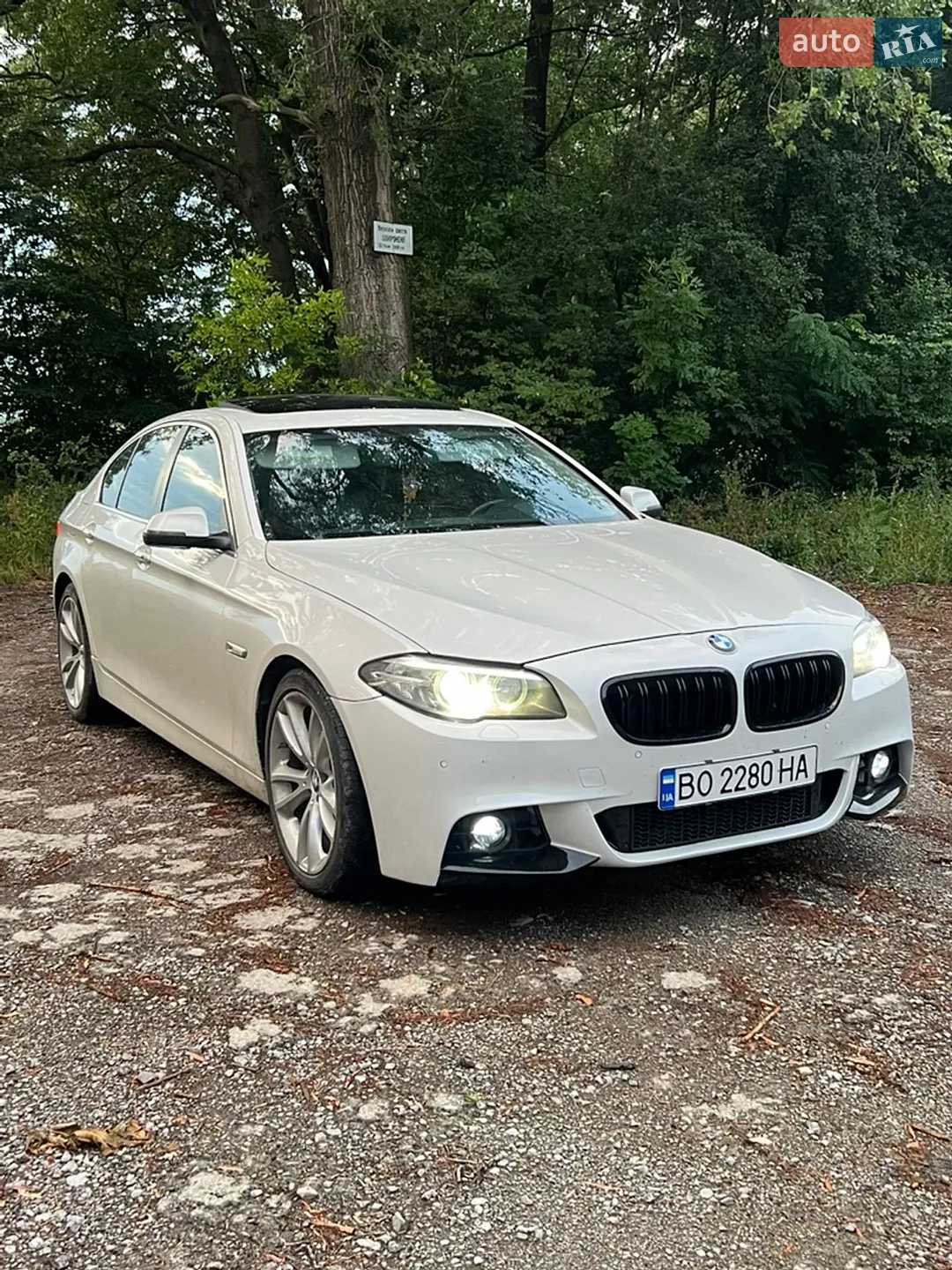 2015 BMW 5er - мініатюра 2