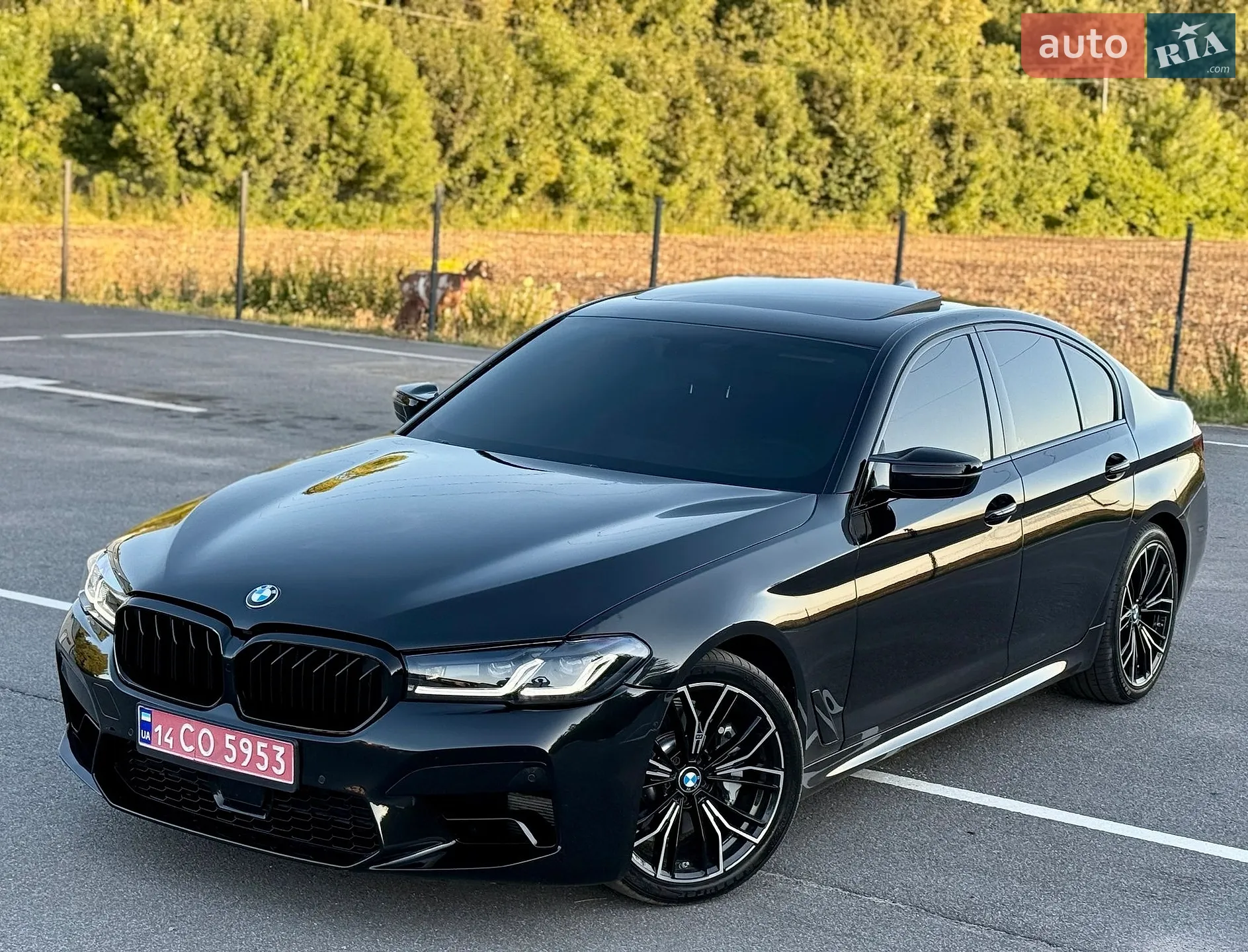 2017 BMW 5er - мініатюра 15