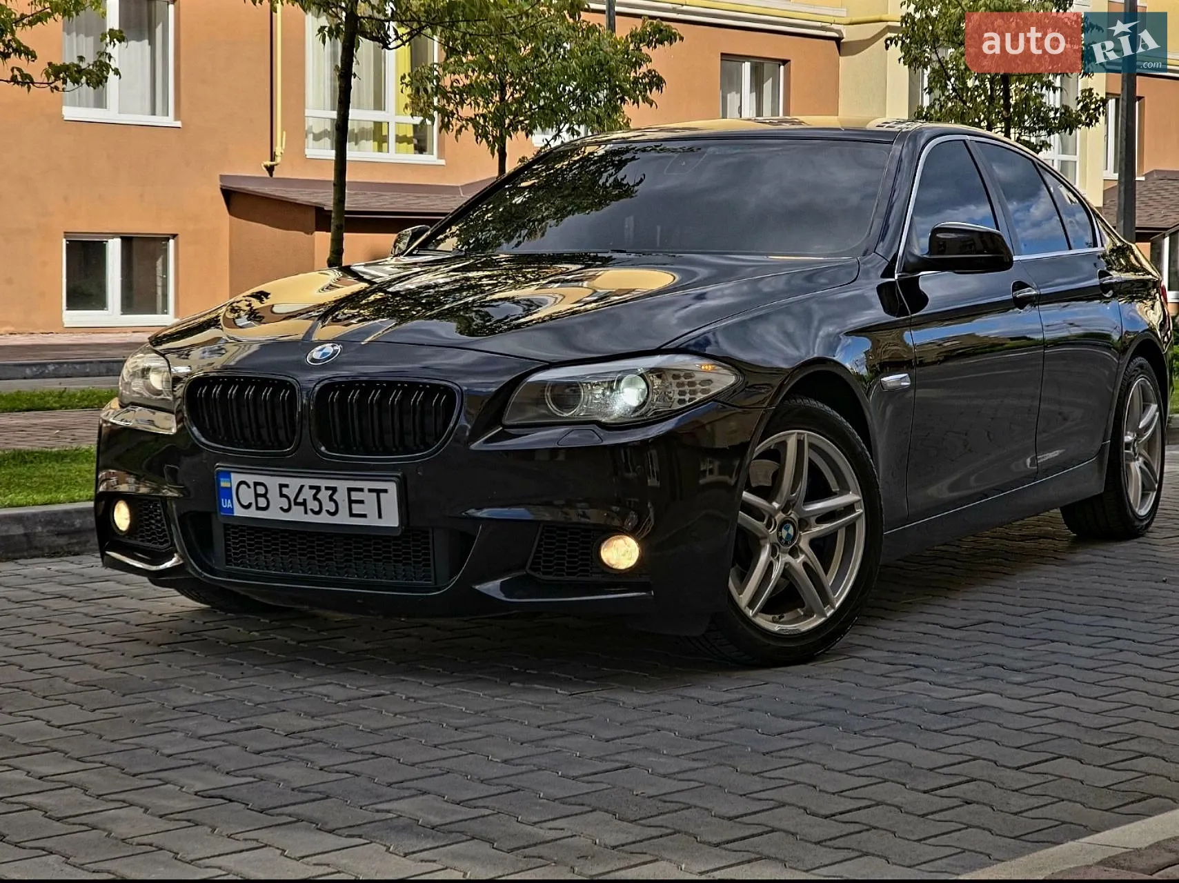 2010 BMW 5er - мініатюра 12